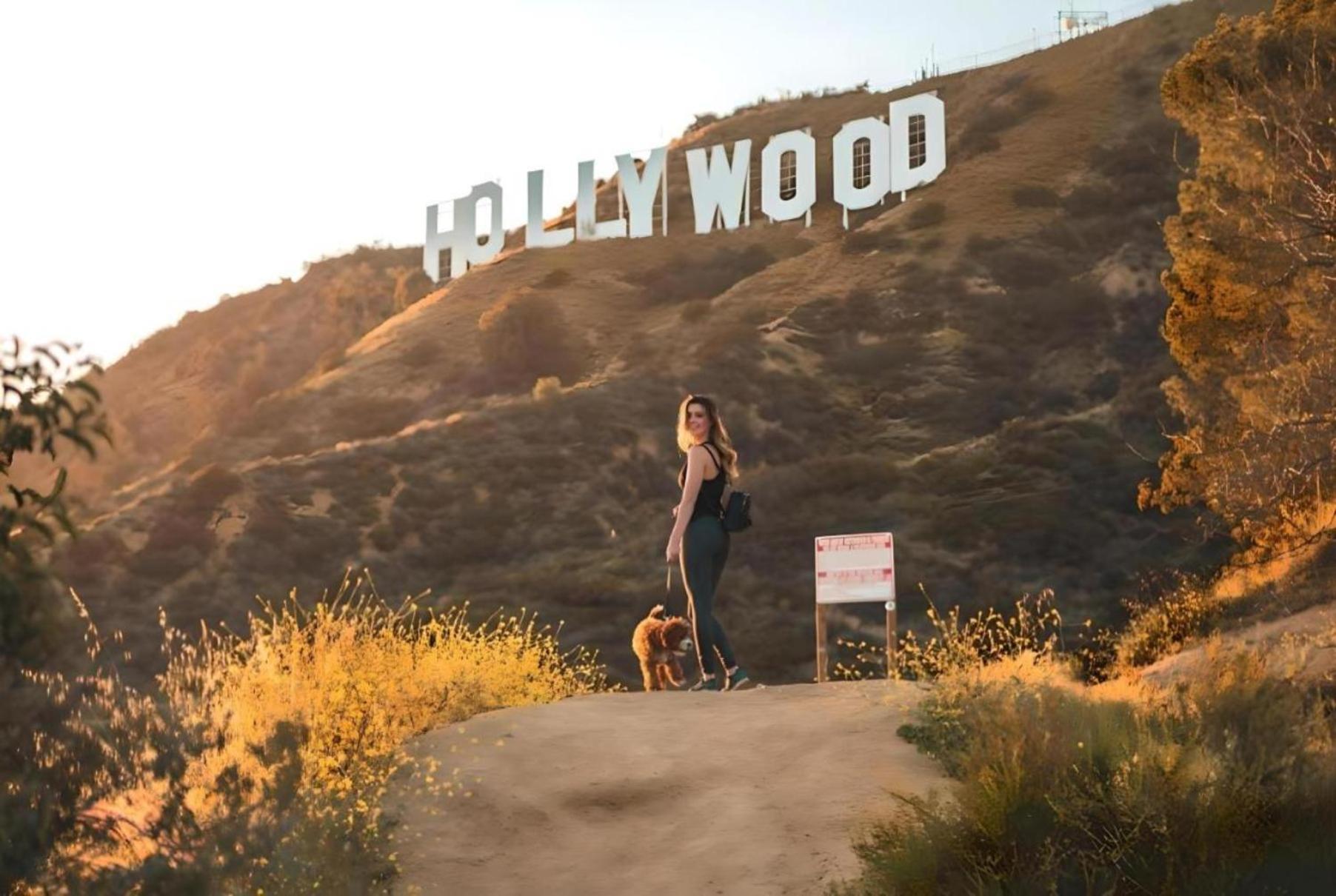 Hollywood Panoramic Views, Pool, Gym & Free Parking! Appartamento